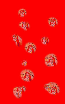 邪惡的巫婆