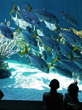 水族館