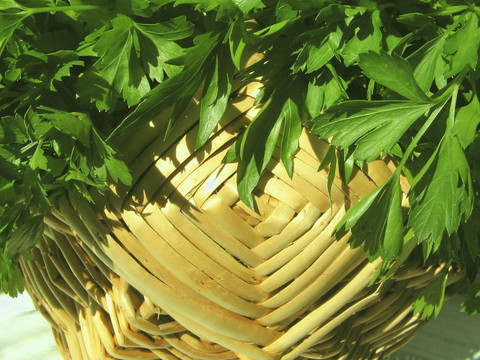 野菜