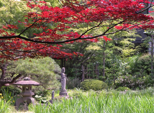 秋天的日本花園