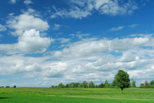 夏天的風(fēng)景