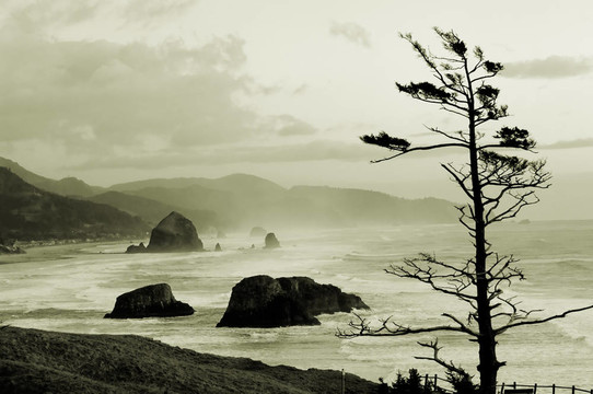 坎農(nóng)海灘