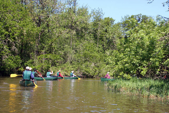 在水canoers