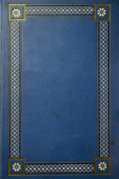 舊的藍(lán)色垃圾書