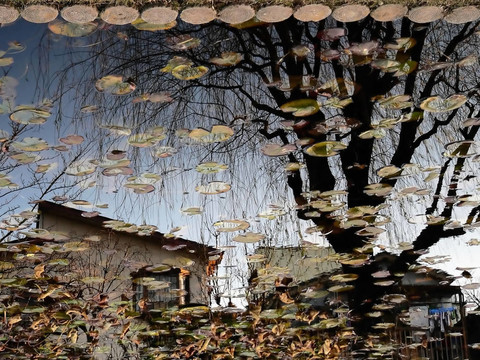 秋天的鄉(xiāng)村