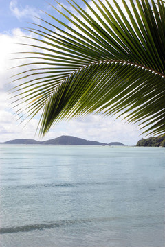 海灘風(fēng)景