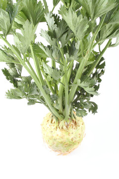 芹菜