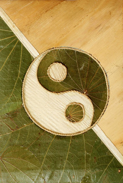 陰陽