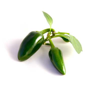 胡椒