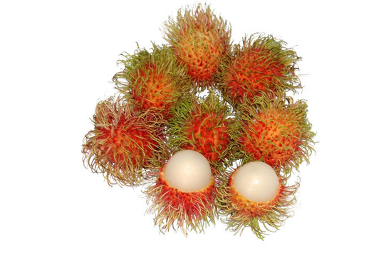 紅毛丹果實(shí)或毛