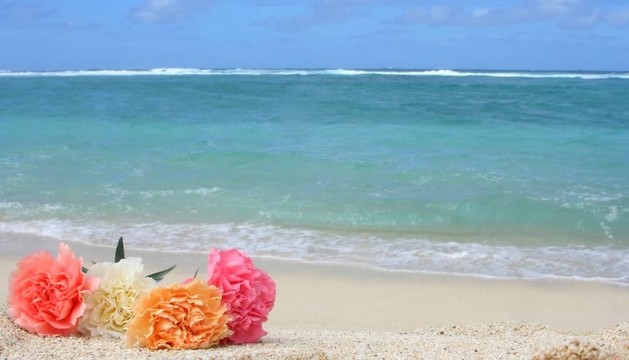 海灘上的花