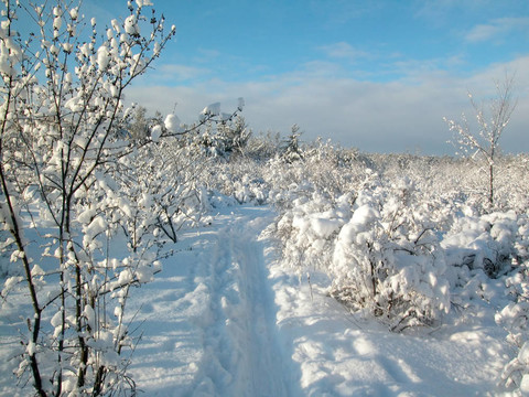 冬季滑雪場(chǎng)