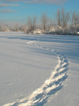 雪鞋步道