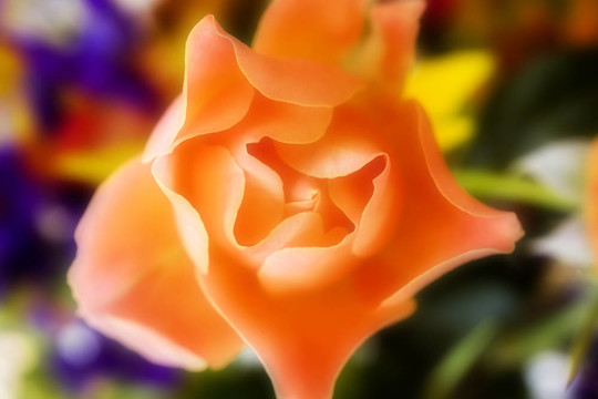 的impresssionist