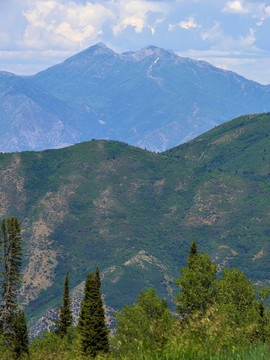 山