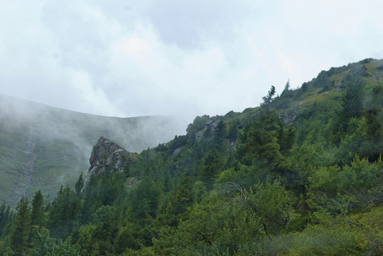 路邊的風(fēng)景