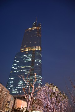 紫峰大廈