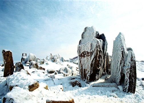 山巔雪中石林奇觀