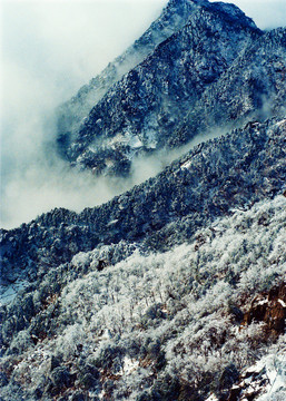 雪山云霧