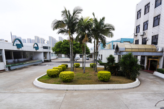 廠區(qū)綠化