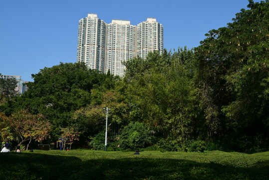 城市建筑 綠色家園