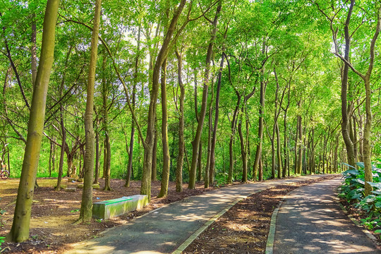 公園綠道