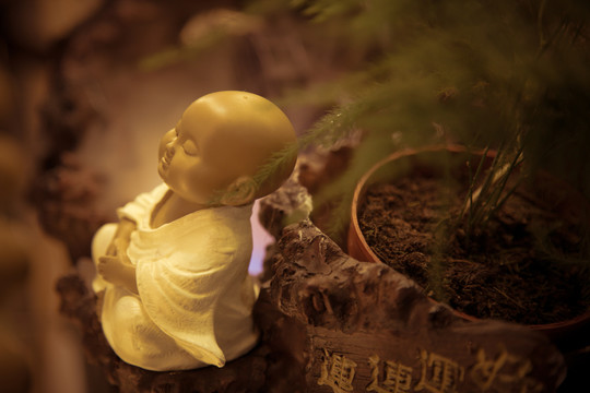 禪意小沙彌