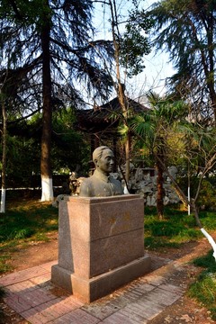南大素材