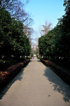 南大素材