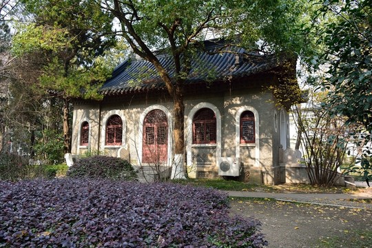 南大素材