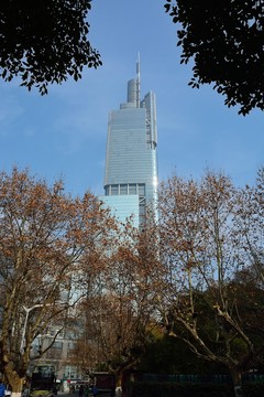 紫峰大廈