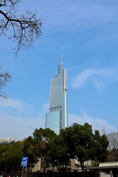 紫峰大廈