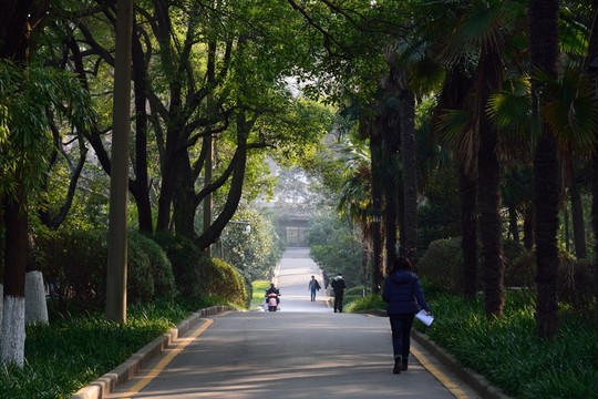 南師大風(fēng)景
