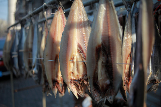鲅魚干