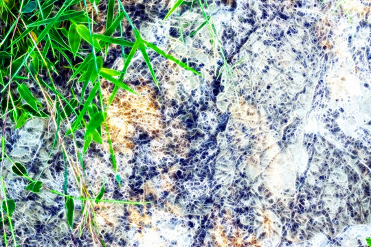 抽象線條畫