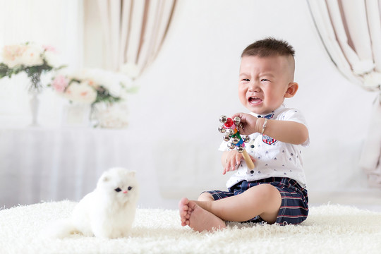 寶寶
