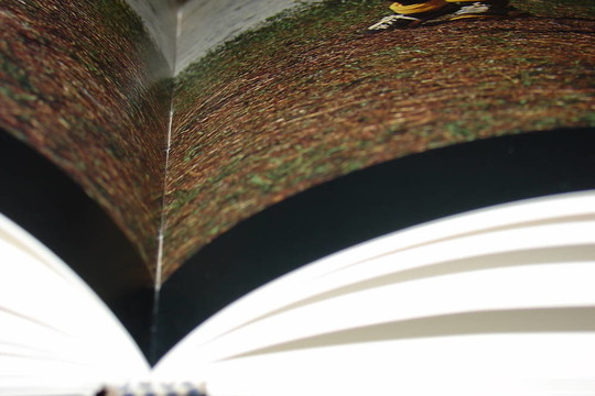 一本書的書頁