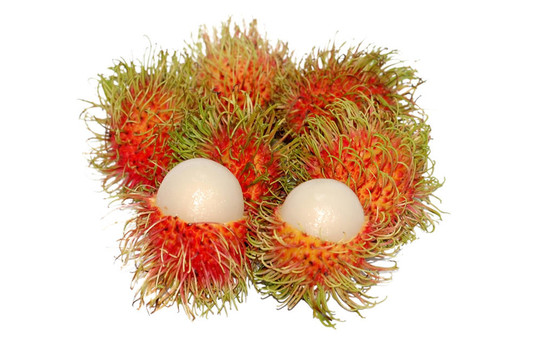 紅毛丹果實(shí)或毛