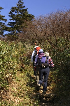 郊游野游