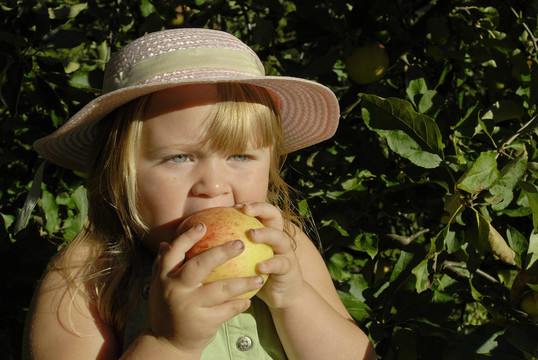 Annie Apple 398