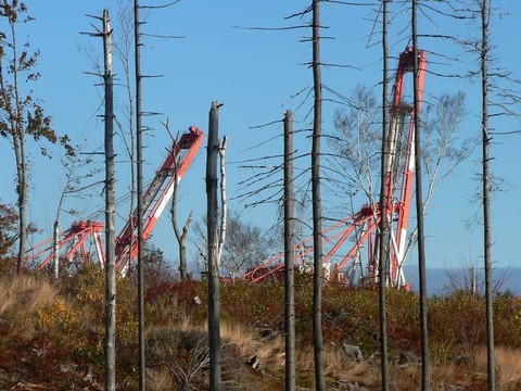 起重機和樹