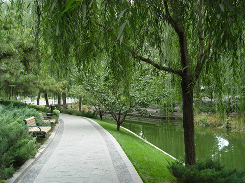 公園