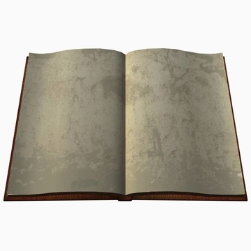 皮書