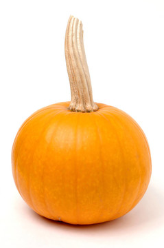 pumpkin1