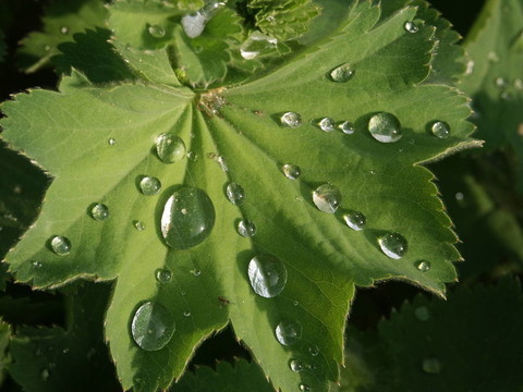 雨后