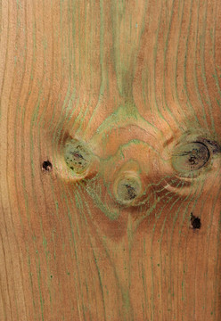 傷心的Wood