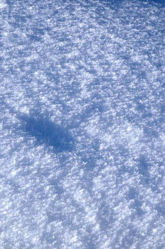 雪