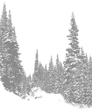 雪道1