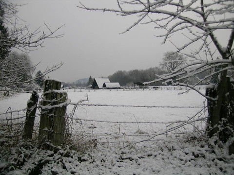 雪場(chǎng)