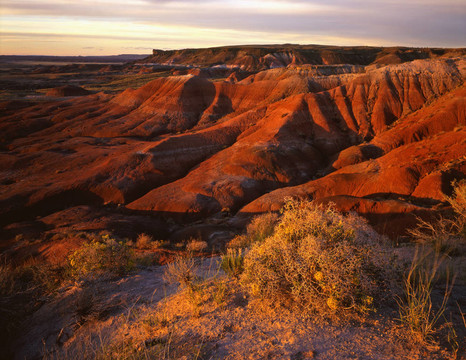 painteddesert2